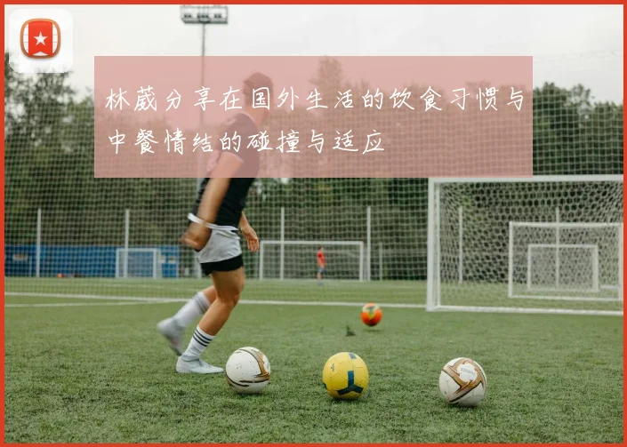 林葳分享在国外生活的饮食习惯与中餐情结的碰撞与适应