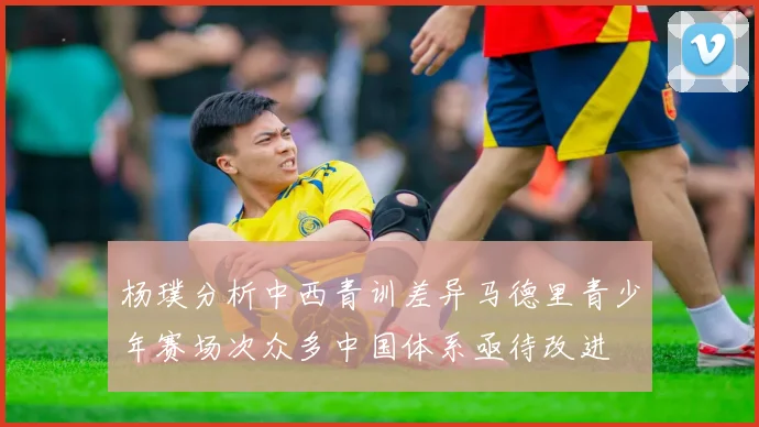 杨璞分析中西青训差异马德里青少年赛场次众多中国体系亟待改进