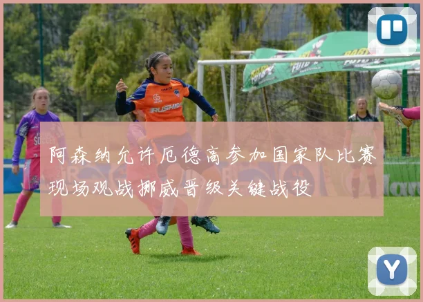 阿森纳允许厄德高参加国家队比赛现场观战挪威晋级关键战役