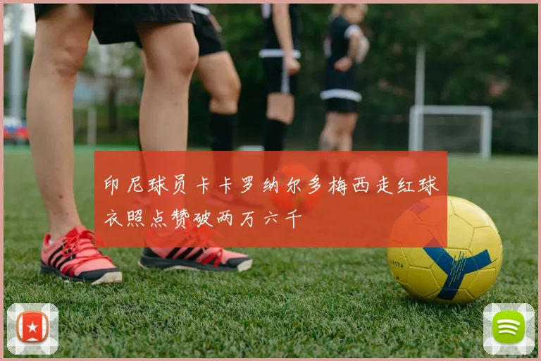 印尼球员卡卡罗纳尔多梅西走红球衣照点赞破两万六千