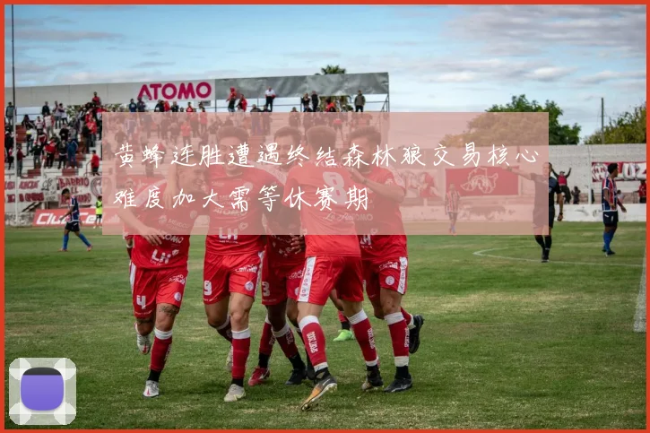 黄蜂连胜遭遇终结森林狼交易核心难度加大需等休赛期