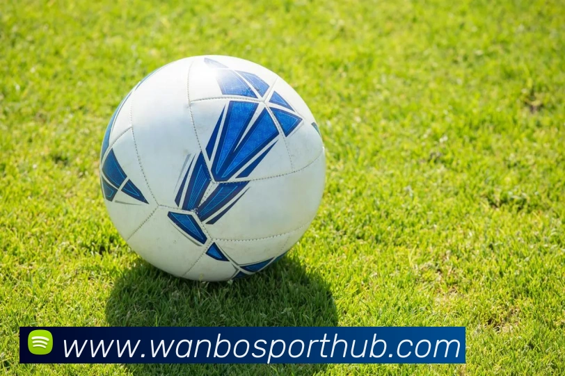 万博体育平台生态图